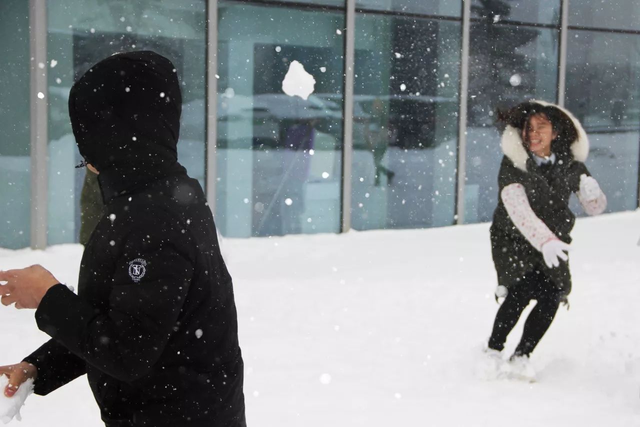 CA88(中国)唯一官方网站入口